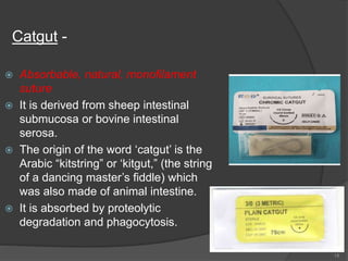 Catgut -
 Absorbable, natural, monofilament
suture
 It is derived from sheep intestinal
submucosa or bovine intestinal
serosa.
 The origin of the word ‘catgut’ is the
Arabic “kitstring” or ‘kitgut,” (the string
of a dancing master’s fiddle) which
was also made of animal intestine.
 It is absorbed by proteolytic
degradation and phagocytosis.
18
 
