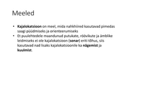 Meeled
• Kajalokatsioon on meel, mida nahkhiired kasutavad pimedas
saagi püüdmiseks ja orienteerumiseks
• Et puulehtedele maandunud putukate, röövikute ja ämblike
leidmiseks ei ole kajalokatsioon (sonar) eriti tõhus, siis
kasutavad nad lisaks kajalokatsioonile ka nägemist ja
kuulmist.
 