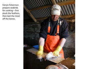 Fámjin fishermen
prepare seabirds
for cooking – first
pluck the feathers,
then boil the meat
off the bones.
 