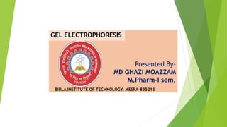 Presented By-
MD GHAZI MOAZZAM
M.Pharm-I sem.
BIRLA INSTITUTE OF TECHNOLOGY, MESRA-835215
GEL ELECTROPHORESIS
 