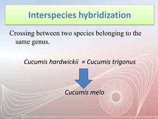 Interspecies hybridization
Crossing between two species belonging to the
same genus.
Cucumis hardwickii × Cucumis trigonus
Cucumis melo
10
 