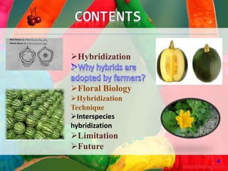 4
Introduction
Male Sterility
 Tomato
 Chilli
 Onion
Self Incompatibility
 Cauliflower
 Radish
Conclusion
Future thrust
4
Hybridization
Floral Biology
Hybridization
Technique
Interspecies
hybridization
Limitation
Future
4
 