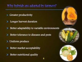 Greater productivity
Longer harvest duration
Better adaptability to variable environments
Better tolerance to diseases and pests
Uniform produce
Better market acceptability
Better nutritional quality
6
 