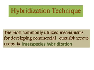 Hybridization Technique
The most commonly utilized mechanisms
for developing commercial cucurbitaceous
crops is interspecies hybridization
8
 