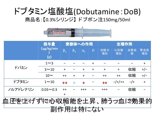 ドブタミン塩酸塩リーフレット テウト