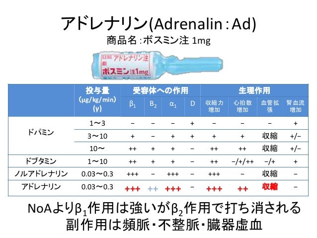 カテコラミンの勉強会