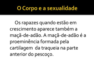 A Sexualidade na Adolescência;