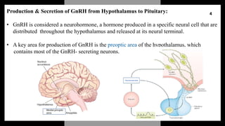 Male sex hormones biosynthesis,functions. | PPTX
