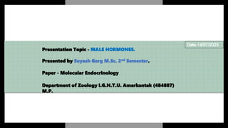 Presentation Topic - MALE HORMONES.
Presented by Suyash Garg M.Sc. 2nd Semester.
Paper - Molecular Endocrinology
Department of Zoology I.G.N.T.U. Amarkantak (484887)
M.P.
 