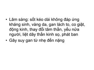 • Lâm sàng: sốt kéo dài không đáp ứng
kháng sinh, vàng da, gan lách to, co giật,
động kinh, thay đổi tâm thần, yếu nửa
người, liệt dây thần kinh sọ, phát ban
• Gây suy gan từ nhẹ đến nặng
 