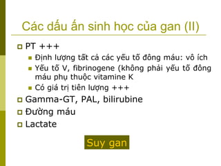 Các dấu ấn sinh học của gan (II)
 PT +++
 Định lượng tất cả các yếu tố đông máu: vô ích
 Yếu tố V, fibrinogene (không phải yếu tố đông
máu phụ thuộc vitamine K
 Có giá trị tiên lượng +++
 Gamma-GT, PAL, bilirubine
 Đường máu
 Lactate
Suy gan
 