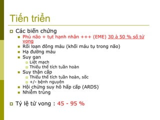 Tiến triển
 Các biến chứng
 Phù não + tụt hạnh nhân +++ (EME) 30 à 50 % số tử
vong
 Rối loạn đông máu (khối máu tụ trong não)
 Hạ đường máu
 Suy gan
 Liệt mạch
 Thiếu thể tích tuần hoàn
 Suy thận cấp
 Thiếu thể tích tuần hoàn, sốc
 +/- bệnh nguyên
 Hội chứng suy hô hấp cấp (ARDS)
 Nhiễm trùng
 Tỷ lệ tử vong : 45 - 95 %
 