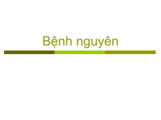 Bệnh nguyên
 