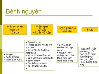 Bệnh nguyên
Mất bù bệnh
mạn tính
của gan
Viêm gan
tối cấp
và bán tối cấp
Bệnh gan của
sản phụ
Khác
• Xơ gan
• Budd-Chiari
• Viêm gan rượu
• Paracétamol
• Thuốc chống viêm phi
steroide
• Virus (A, B, B delta,
herpès…)
• Virus + paracétamol
• Nấm Amanite phalloïde
• Bệnh Wilson
• Các bệnh tự miễn
• Hội chứng DRESS
• …
• SHAG (gan
nhiễm mỡ cấp
nặng)
• HELLP (Hội
chứng tan máu,
tăng men gan,
giảm tiểu cầu)
• Sau mổ : Cắt
gan rộng, rối
loạn chức năng
nguyên phát
của gan ghép
• Lưu lượng tim
thấp
 