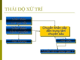 Chẩn đoán
suy gan cấp
Chẩn đoán
bệnh nguyên
Tiên lượng
Quyết định ghép gan ?
Chuyển khẩn cấp
đến trung tâm
chuyên sâu
Hồi sức
THÁI ĐỘ XỬ TRÍ
 