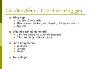 Các đặc điểm / Các chức năng gan
 Tổng hợp
 Các yếu tố đông máu
 Albumine (áp lực keo, vận chuyển, chống oxy hóa …)
 Tạo mật
 Điều hòa cân bằng nội môi
 Điều hòa đường máu, dự trữ glycogen
 Điều hòa pH (< phổi và thận )
 Lọc / Chuyển hóa
 Vi khuẩn
 Lactate
 Thuốc
 Tái sinh gan
 