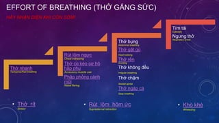 EFFORT OF BREATHING (THỞ GẮNG SỨC)
HÃY NHẬN DIỆN KHI CÒN SỚM!
• Thở rít
Stridor
Thở nhanh
Tachypnea/Fast breathing
Rút lõm ngực
Chest indrawing
Thở co kéo cơ hô
hấp phụ
Accessory muscle use
Phập phồng cánh
mũi
Nasal flaring
Thở bụng
Abdominal breathing
Thở gật gù
Head bobbing
Thở rên
Grunting
Thở không đều
Irregular breathing
Thở chậm
Slowed apnea
Thở ngáp cá
Gasp breathing
Tím tái
Cyanosis
Ngưng thở
Respiratory arrest
• Rút lõm hõm ức
Suprasternal retraction
• Khò khè
Wheezing
 