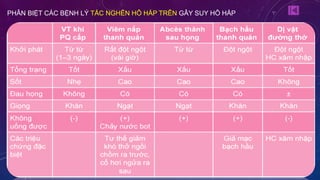 PHÂN BIỆT CÁC BỆNH LÝ TẮC NGHẼN HÔ HẤP TRÊN GÂY SUY HÔ HẤP
 