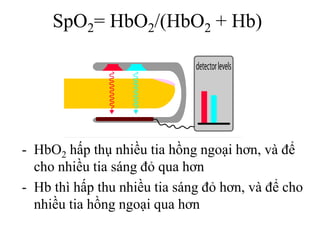 SpO2= HbO2/(HbO2 + Hb)
- HbO2 hấp thụ nhiều tia hồng ngoại hơn, và để
cho nhiều tia sáng đỏ qua hơn
- Hb thì hấp thu nhiều tia sáng đỏ hơn, và để cho
nhiều tia hồng ngoại qua hơn
 