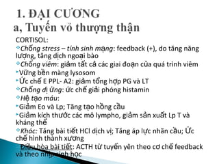 CORTISOL:
Ch ng stress – tính sinh m ngố ạ : feedback (+), do tăng năng
l ng, tăng d ch ngo i bàoượ ị ạ
Ch ng viêmố : gi m t t c các giai đo n c a quá trình viêmả ấ ả ạ ủ
V ng b n màng lysosomữ ề
 c ch E PPL- A2: gi m t ng h p PG và LTỨ ế ả ổ ợ
Ch ng d ngố ị ứ : c ch gi i phóng histaminứ ế ả
H t o máuệ ạ :
Gi m Eo và Lp; Tăng t o h ng c uả ạ ồ ầ
Gi m kích th c các mô lympho, gi m s n xu t Lp T vàả ướ ả ả ấ
kháng thể
Khác: Tăng bài ti t HCl d ch v ; Tăng áp l c nhãn c u; cế ị ị ự ầ Ứ
ch hình thành x ngế ươ
Đi u hòa bài ti tề ế : ACTH t tuy n yên theo c ch feedbackừ ế ơ ế
và theo nh p sinh h cị ọ
 