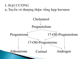 Cholesterol
Pregnenolone
Progesterone 17-OH-Pregnenolone
17-OH-Progesterone
Cortisol AndrogenAldosterone
 