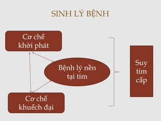SINH LÝ BỆNH
Bệnh lý nền
tại tim
Cơ chế
khởi phát
Cơ chế
khuếch đại
Suy
tim
cấp
 