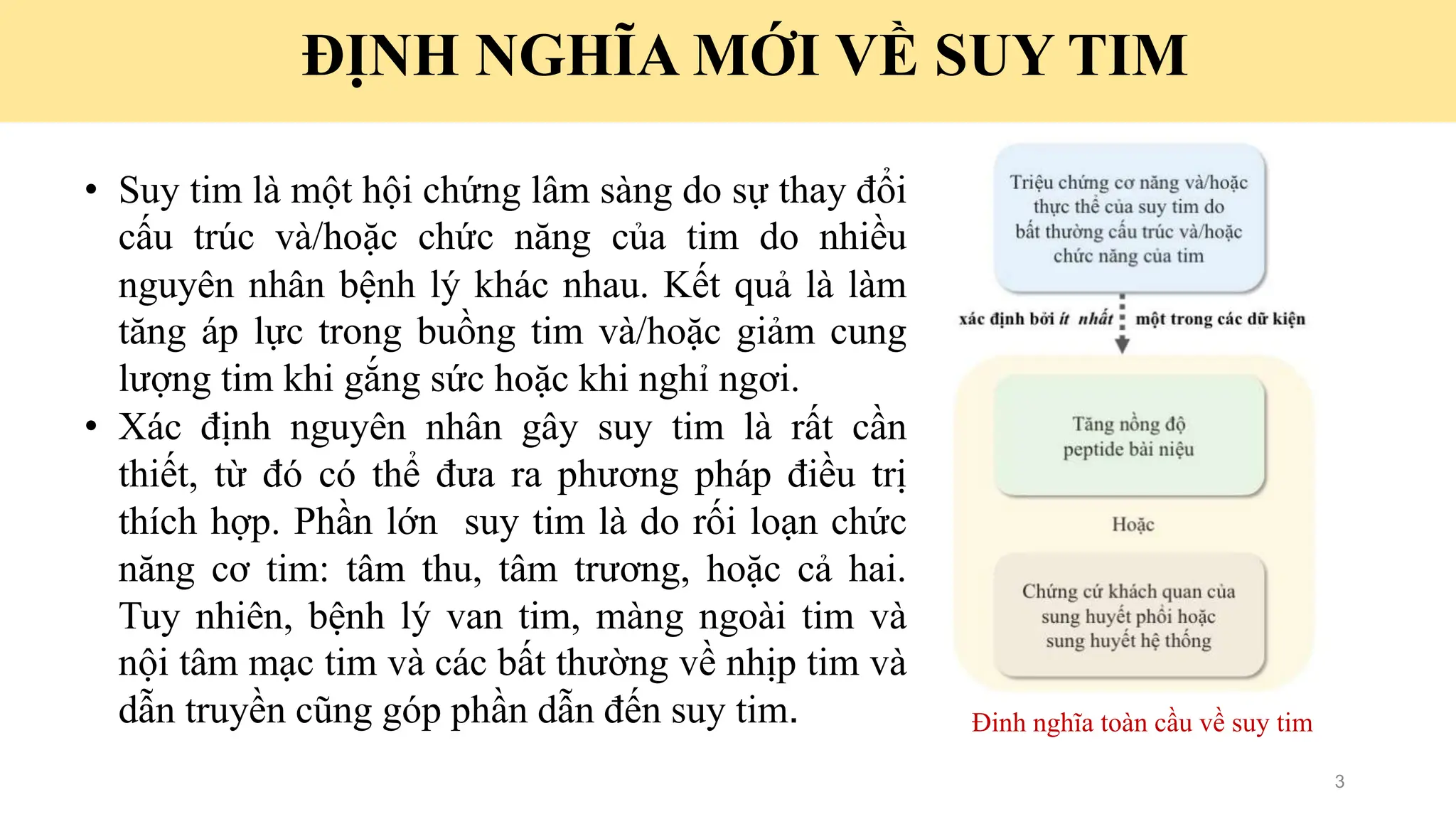 Cập nhật chẩn đoán và điều trị Suy tim cấp 2023 | PPTX