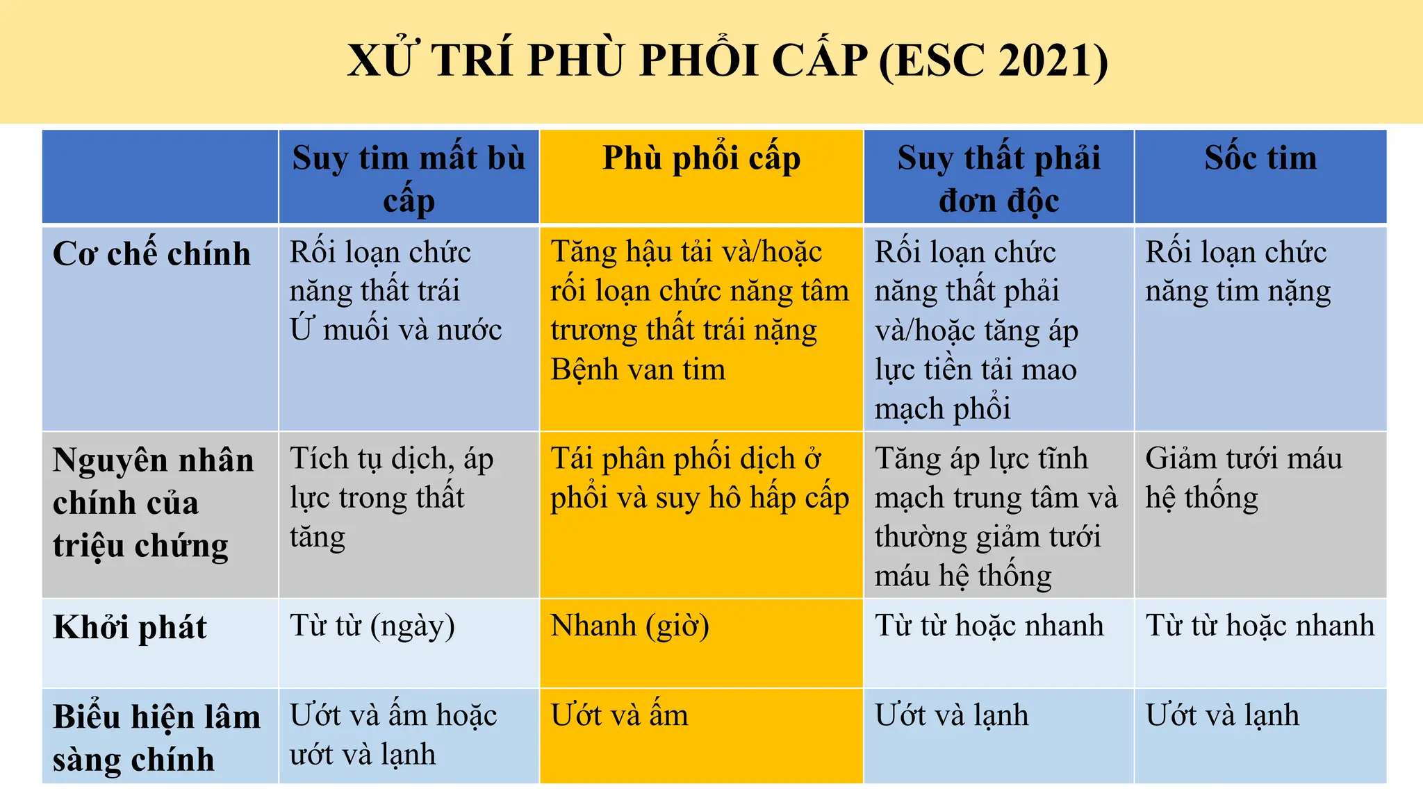Cập nhật chẩn đoán và điều trị Suy tim cấp 2023 | PPTX