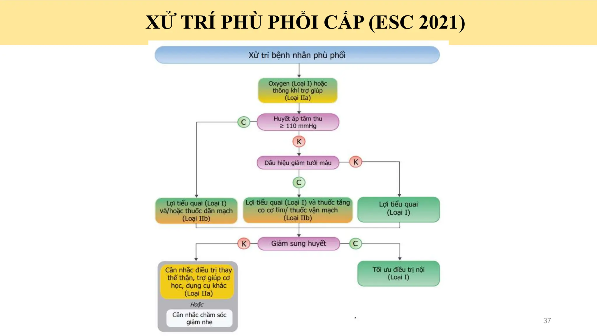 Cập nhật chẩn đoán và điều trị Suy tim cấp 2023 | PPTX