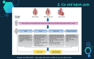 Khuyến cáo VNHA 2022 – Cập nhập chẩn đoán và điều trị suy tim cấp và man
2. Cơ chế bệnh sinh
 