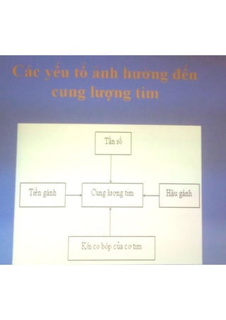 Suy tim trẻ em
