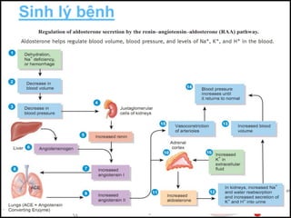 CƠ CHẾ BỆNH SINH SUY TIM DO SUY GIẢM CHỨC NĂNG BƠM MÁU