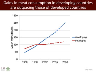 Gains in meat consumption in developing countries
are outpacing those of developed countries
0
50
100
150
200
250
300
1980 1990 2002 2015 2030
Millionmetrictonnes
developing
developed
FAO 2006
 