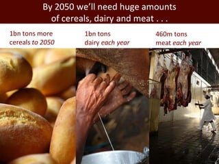 1bn tons more
cereals to 2050
1bn tons
dairy each year
460m tons
meat each year
By 2050 we’ll need huge amounts
of cereals, dairy and meat . . .
 