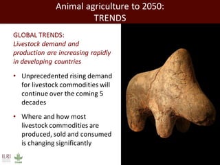 Animal research: Addressing the needs of the coming 50 years