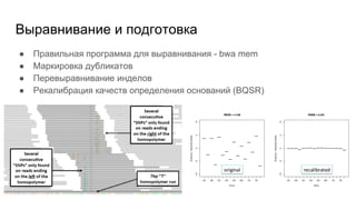 Выравнивание и подготовка
● Правильная программа для выравнивания - bwa mem
● Маркировка дубликатов
● Перевыравнивание инделов
● Рекалибрация качеств определения оснований (BQSR)
 