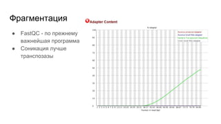 Фрагментация
● FastQC - по прежнему
важнейшая программа
● Соникация лучше
транспозазы
 