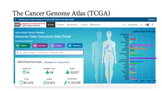 Cancer Databases | PDF