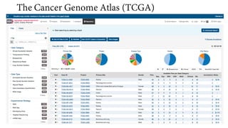 Cancer Databases | PDF