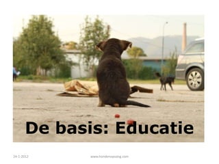 De basis: Educatie
24-1-2012   www.hondenopvang.com
 