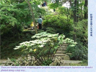 阶
                                                                                     砌
                                                                                     旁
                                                                                     边
                                                                                     栽
                                                                                     几
                                                                                     丛
                                                                                     书
                                                                                     带
                                                                                     草
                                                                                     。




There are bundles of book wrapping grass (popular name of Ophiopogon Japonicas or Mondo)
planted along a step way;
 