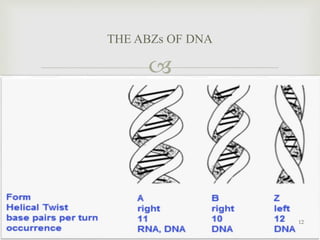 
THE ABZs OF DNA
12
 
