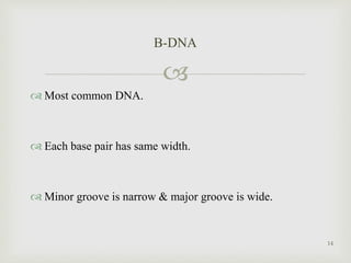
 Most common DNA.
 Each base pair has same width.
 Minor groove is narrow & major groove is wide.
B-DNA
14
 