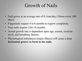 Growth of Nails
• Nail grows at an average rate of 0.1mm/day (10mm every 100
days).
• Fingernails require 4 to 6 months to regrow completely.
• Toes nails require 12to 18 months.
• Actual growth rate is dependent upon age, season, exercise
level, and hereditary factors.
• Physiological imbalances (major illness) will cause a deep
horizontal groove to form in the nails.
 