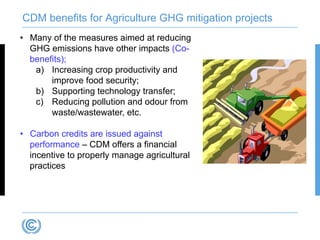 Suzuki CDM methodologies for agriculture Nov 10 2014