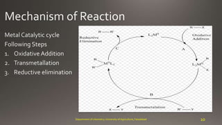 Department of chemistry, University of Agriculture, Faisalabad 10
 