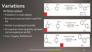 N
O
P
11Department of chemistry, University of Agriculture, Faisalabad
 