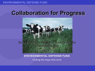 Collaboration for Progress Suzy Friedman, Regional Director for the Chesapeake Bay EDF 