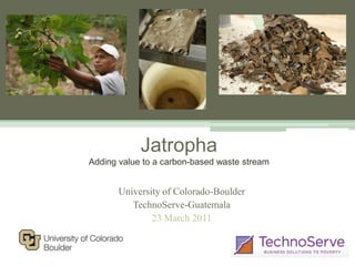 JatrophaAdding value to a carbon-based waste stream University of Colorado-Boulder TechnoServe-Guatemala 23 March 2011 