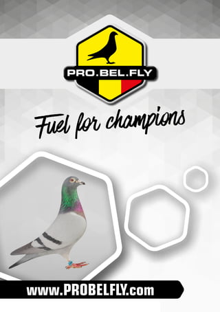 www.PROBELFLY.com
Fuel for champions
 